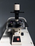 Olympus CK2 Inverted Microscope