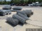 12 ROLLS GALVANIZED FENCING