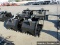 66 IN ROCK & BRUSH GRAPPLE
