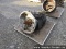Eaton fr016210c used transmission, stock # 55043