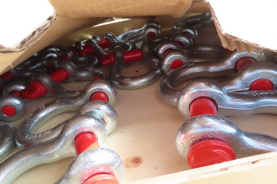 PALADIN 4.75-12T G209 SCREW PIN ANCHOR SHACKLES