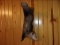 Full Body Mount Opossum Hanging By The Tail 28