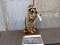 Fairly Full Body Mount Raccoon Singing Karaoke!