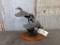 National Wild Turkey Federation Bronze 