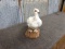 Full Body Mount Ptarmigan 11