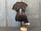 Full Body Mount Strutting Turkey Real Freeze Dried Head