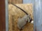 African Gemsbok Shoulder Mount Hard Right Turn Pose Good Hair