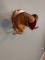 Mounted Ram Horns 23