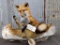 Full Body Mount Red Fox In Native American Crafted Birch Bark Canoe