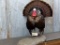NICE Full Body Mount Turkey In Full Strut Pose 37