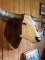 Shoulder Mount Red & White Longhorn Steer 75
