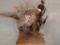 Pheasant On Habitat Base Wall Hanger Or Table Top Display