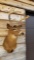 ULTRA RARE 9 Point Shoulder Mount FREAK Whitetail Harvested In 1968