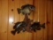3 Bluegill Schooling On Driftwood Real Skin Mount Nice 20