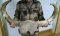 Ancient Steppe Bison Skull From Canada From The Pleistocene Period