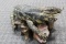 Full Body Mount Tegu Lizard Nose to tail 40