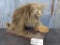 Full Body Mount Porcupine overall dimensions 24