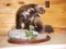 Full Body Mount Wolverine NEW MOUNT