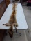 2 Red Fox Soft Tanned Pelts 50
