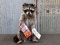 Full Body Mount Raccoon Eating Cracker Jack New Mount 28