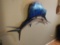 NICE Sailfish Mount 74