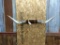 Texas Longhorn Horn Mount 67