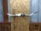 7 Foot Texas Longhorn Horn Mount New Mount NICE 