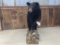 Nice Medium Full Body Mount Black Bear on Driftwood Base