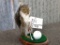 Golfing Squirrel New Mount 8