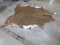 Soft Tanned Jumbo Longhorn Hide Finished Back