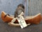 Full Body Mount Muskrat In Birch Bark Canoe New Mount 18