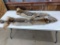 2 Tanned Coyote Hides 60