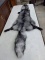 6X Large Indigo Silver Fox 68