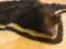 Black Bear Rug Black & tan felt rug