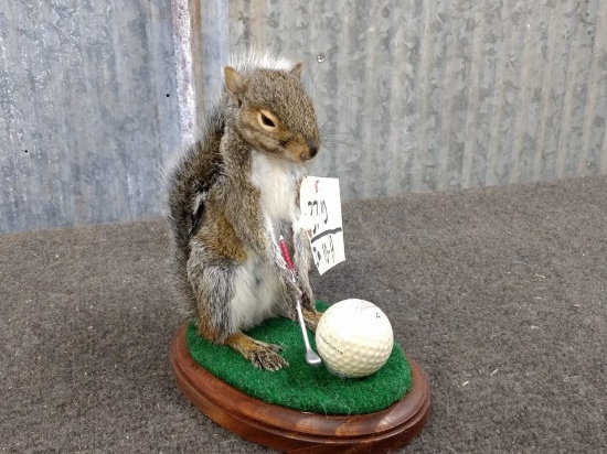 Golfing Squirrel New Mount 8" tall