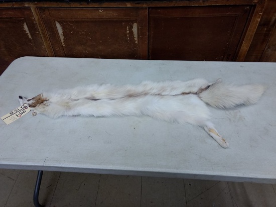 Ranch Red Marble Fox Soft Tanned Pelt 50" long 