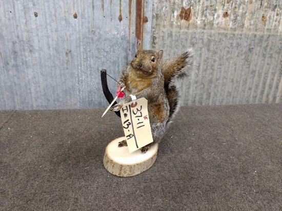 Bow Hunting Squirrel New Mount 11" tall
