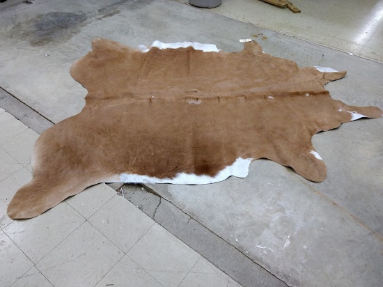 Soft Tanned Jumbo Longhorn Hide Finished Back