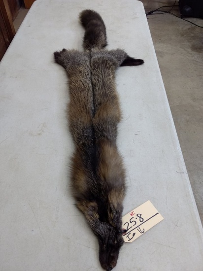 Soft Tanned Cross Fox Pelt 52" Long Big Bushy Tail
