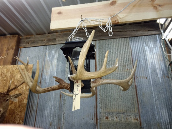 Hanging Deer Antler Lamp with plug in about 25" diameter