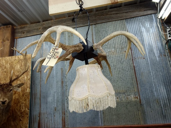 Hanging Deer Antler Lamp about 26" diameter