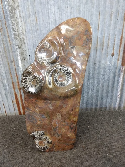 Beautiful Free Standing Ammonite Fossil Slab Sculpture Probably European Fossils