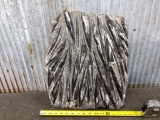 Beautiful Orthoceras Fossil Slab Sculpture Plate Featuring Over 40 Specimens