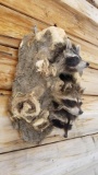 3 Raccoons In A Tree New Mount 24