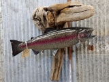 Rainbow Trout Real Skin Mount On Driftwood Hanging Base Like New Excellent Taxidermy & Paint Jackson