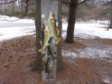 Real Skin Mount Stringer Of Fish 2 Walleye & 3 Small Mouth Bass