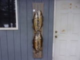 Real Skin Mount 4 Nice Walleye On A Stringer 63