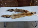 2 Red Fox Soft Tanned Pelts Longest One 47