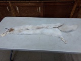 Ranch Red Marble Fox Soft Tanned Pelt 50