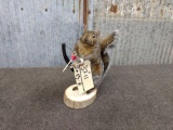 Bow Hunting Squirrel New Mount 11